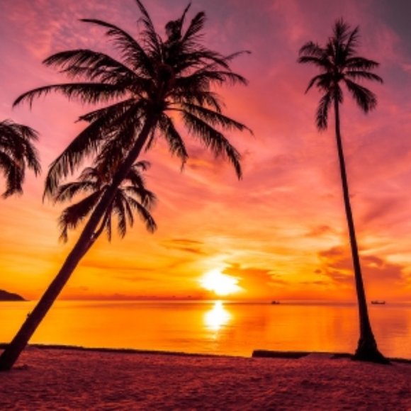 Meet your Posher, Alina - Picture 1 of 1